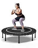 BCAN 450LBS Foldable Mini Trampoline, 48IN - Silver