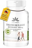 Teufelskralle Extrakt - 510mg - 90 Kapseln - vegan - hochdosiert | HERBADIREKT by Warnke Vitalstoffe - Deutsche Apothekenqualität