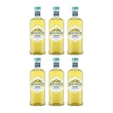 Benvenuti Limoncello Benvenuti süß Liköre Italien inkl. Feinwert E-book (6 x 0.5 l)