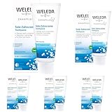 WELEDA Bio Sole Zahnpasta - fluoridfreie Naturkosmetik Zahncreme mit Meersalz zur natürlichen Zahnpflege. Sanfte Zahnreinigung mit Pfefferminzöl schützt Zähne vor Karies & Zahnstein (vegan / 75ml)