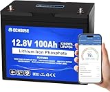DCHOUSE Bluetooth LiFePO4 100AH 12V Lithium Batterie mit LED-Anzeige,Low Temperatureschutz,100A BMS, Deep Cycles Batterie für Trolling Motor,Wohnmobil, Wohnwagen,Solarpanel