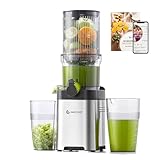AMZCHEF Entsafter - Slow Juicer mit 113MM Breite und Größere Fütterungsröhre für Ganze Gemüse und Obst - Leicht zu Reinigender Entsafter mit 2 Gläsern - Silbrig