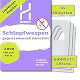 Heimgeist Schlupfwespen gegen Lebensmittelmotten - 30 Karten auf 3 Lieferungen (jeweils 3 Wochen Abstand) à 10 Karten