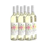 SCAVI & RAY Sogno Fiori Weißwein – 6 x 0,75L Glasflaschen – Limitierte Edition mit nummeriertem Etikett – Fruchtig-blumiger Sommerwein aus Italien – Perfekt für Terrasse, Picknick & leichte Gerichte