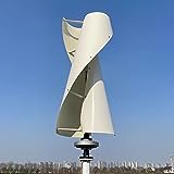 2000W Windkraftanlagen Vertikale 24v 48v 96V 220V Windgenerator für Heimgebrauch Windräder Weiß Grün Klinge 2KW Windturbine (220V mit weißer Klinge)