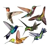 Operitacx 7 Stück Teiliges Wandaufkleber Hummingbird Fensterdeko Selbstklebende Vogelaufkleber für Wohnzimmer Schlafzimmer und Fensterschutz