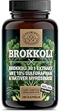 Brokkoli 1000mg -WICHTIG: 30:1 Extrakt (=30000mg Brokkolisprossen je Tagesdosis) +50mg Sulforaphan je Kapsel & Aktive Myrosinase -Sulforaphan Kapseln Hochdosiert- DE SCHEUNENGUT®