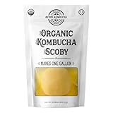 1 X Organic Kombucha Scoby - Live Culture by Scoby Kombucha by Scoby Kombucha