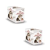 ROYAL CANIN Ageing 12+ in Soße | Doppelpack | 2 x 12 x 85 g | Alleinfuttermittel für Senior Katzen ab dem 12. Lebensjahr | Kann die Gesundheit der Nieren und Gelenke unterstützen