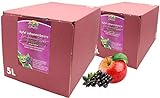 Bleichhof Apfel-Johannisbeer Direktsaft -- 100% Direktsaft, vegan, Bag-in-Box mit Zapfsystem (2x 5l Saftbox)