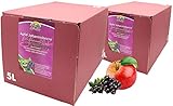 Bleichhof Apfel-Johannisbeer Direktsaft -- 100% Direktsaft, vegan, Bag-in-Box mit Zapfsystem (2x 5l Saftbox)