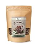 Biojoy BIO-Kakaobohnen roh, naturbelassen und ungeröstet, Theobroma cacao (500 gr)