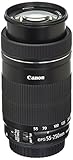 Canon EF-S 55-250mm F4-5.6 IS STM Objektiv für Spiegelreflexkameras von Canon