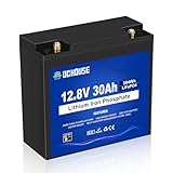 DCHOUSE 12V 30AH LiFePO4 Lithium Batterie, BCI Group U1 mit 30A BMS, Niedertemperaturabschaltung, 4000+Deep Cycles, für Fish Finder, Trolling Motor, Kinder Roller, Power Wheel Chair, Boot, RV,