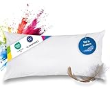 wometo Federkissen 100% Federn 40x80-600g Oeko-TEX Sofakissen Füllkissen Bezug Baumwolle weiß/Innenkissen/Kissenfüllung/Kopfkissen