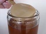 Kombucha Pilz / Scoby + Anleitung + Rezepte + Hilfe und Beratung in Deutsch - KEFIRALIA®