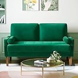 Meskanu Couch 2 Sitzer, 121 cm Samt Kleines Sofa mit 2 Wurfkissen, Modern Mini Sofa, Getuftetes Kleine Couch für Wohnzimmer/Schlafzimmer/Büro/Wohnung, Grün