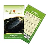 Aubergine Black Beatuy Samen - Solanum melongena - Auberginensamen - Gemüsesamen - Saatgut für 15 Pflanzen