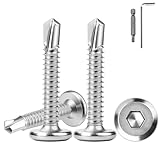 60 Stück Selbstschneidende Schrauben 410 Edelstahl 6.3x16mm Blechschrauben Flachkopf Innensechskantschrauben Bohrschrauben Edelstahl mit Innensechskantbohrer Fassadenschrauben Metallschrauben Silber