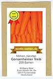 Möhre - Karotte - Gonsenheimer Treib (200 Samen)
