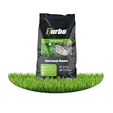Rasensamen Nachsaat 250m², Rasensamen schnellkeimend, Grassamen, Rasen Nachsaat, Ideal gegen Lücken, Frühjahr und Herbst, Turbo Rasensamen Nachsaat, RSM Qualität, Turbogrün