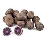 Blaue Kartoffeln aus Deutschland | Blaue Trüffelkartoffeln | Gourmet Speisekartoffeln in Blau - vorwiegend festkochend (800 g)