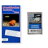 AQ4Aquaristik Urzeitkrebse Mix - Triops UND Feenkrebse in Kombination - (Zuchtansatz mit Urzeitkrebs-Eiern in Sand) mit Anleitung