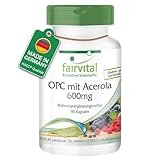 Fairvital | OPC Traubenkernextrakt 600mg mit Acerola - 90 Kapseln - HOCHDOSIERT - VEGAN