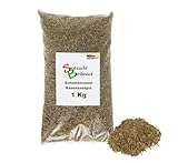 Rasen Schattenrasen Grassamen Rasensamen Rasensaat Gras 1kg - Qualität zum Fairen Preis !