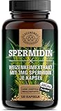 Spermidin Kapseln Hochdosiert -WICHTIG: 10:1 Weizenkeimextrakt -3mg Spermidin pro Kapsel- MIT 5% Polyamin I Vegan und Laborgeprüft -DE- SCHEUNENGUT®
