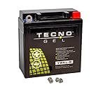 TECNO-GEL Motorrad-Batterie YB5L-B, 12V Gel-Batterie 6 statt 5 Ah, CCA 100, 120x61x131 mm Pole - +