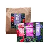 Biokia Berry Bundle - 3er-Set, je 30 g Fruchtpulver Bio - Heidelbeer-, Preiselbeer-, Schwarzes Johannisbeerpulver - vielseitige Superfood Fruchtessenz für Smoothies, Tee, Joghurt, Porridge, Backen