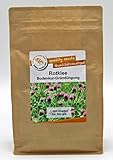 Bodenkur Rotklee - staudige Gründüngung/Futterpflanze 1KG