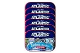ATLANTIC - Wild Caught Sardinen, Keto- und Paleo-freundlich, insgesamt 629 ml (6 Dosen) (Quellwasser ohne Salz)