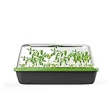 Romberg BoQube M | Zimmergewächshaus mit Belüftung | Gießöffnung | optimales Mikroklima und Platz für 18 Quelltabletten | 37 x 19 x 18 cm | Anthrazit