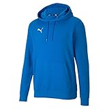 PUMA Herren Teamgoal 23 Causals Hoody Pullover, Electric Blue Lemonade, M EU