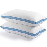 Hiimgo Kopfkissen 40x40 cm (2er Pack), Höhenverstellbares Schlafkissen, Memory Foam Kissen, waschbares Bettkissen, Beddingkissen mit anpassbarer Füllung, mit Reißverschluss