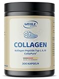 Collagen Kapseln 300 Stück hochdosiert - 4500mg Bioaktives Kollagen Hydrolysat Peptide pro Tagesdosis I Wehle Sports Made in Germany Kollagen Typ 1, 2 & 3