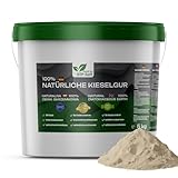 Kieselgur 5kg im Eimer | Diatomeenerde fein hohe Qualität 100 % Rein, sehr effizient TOP