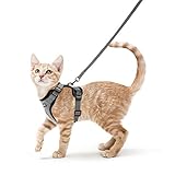 rabbitgoo Katzengeschirr mit Leine Ausbruchsicher Katzenleine Kitten Welpengeschirr Verstellbar Cat Harness Weich Brustgeschirr für Katzen kleine Hunde Kaninchen Reflektierend Katzenweste Grau XS