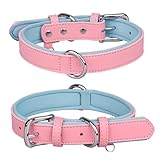 Katze Halsband Space Haustierhalsband -Verlust-Hundehalsband Bequemes Hundehalsband Erziehungshalsband Hund (A, L)