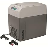 DOMETIC TropiCool TC 21FL - tragbare elektrische Kühlbox, 21 Liter, 12/24 V DC/ 220 - 240 Volt AC für Auto, Lkw, Boot, Reisemobil und Steckdose, Grau