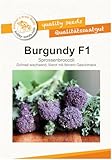 Stängelbrokkoli Burgundy Kohlsamen von Bobby-Seeds Portion