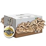 Hawlik Pilzbrut - Austernpilzkultur Zuchtset - Pilzkultur zum selber züchten - bis zu 1.5 kg frische Austernpilze ernten (klein) - Pilze züchten Set
