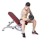 Verstellbare Hantelbank Faltbare Trainingsbank Home Fitnessentraining Mehrzweck-Sit Up Bank für das Heim-Fitnessstudio
