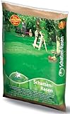 Pegasus Schatten-Rasensamen, 2 kg für 50qm, 622371 – Schattenrasen für dichte Rasenteppiche, schnellkeimend, ideal für schattige Lagen, langlebig, Rasensaat