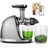 AMZCHEF Entsafter Gemüse und Obst Testsieger - Entsafter Slow Juicer mit Rückwärts-Kau-Funktion - Zartes Zerkleinern ohne Filtern - Saftpresse Elektrisch mit Bürste und 2 Tassen - Silber