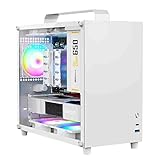 ALAMENGDA V500 Mini Tragbares M-ATX/ITX Computergehäuse, Mini-Tower-Gehäuse, Vollseitiges transparentes DIY-Desktop-Gehäuse mit Griff, unterstützt 320 mm GPU-Größe (Weiß-2.0)