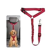 Sicherheitsgeschirr Hund - Anschnallgurt Hund Auto für Kleine Hunde Mittelgroße Hunde Welpen Zubehör (Rot)