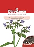 Boretsch Samen Boretschsamen Gurkenkraut ca 50 Korn Küchenkräuter Kräutersamen Saatgut Balkon Garten Hochbeet Kübel Dürr Samen